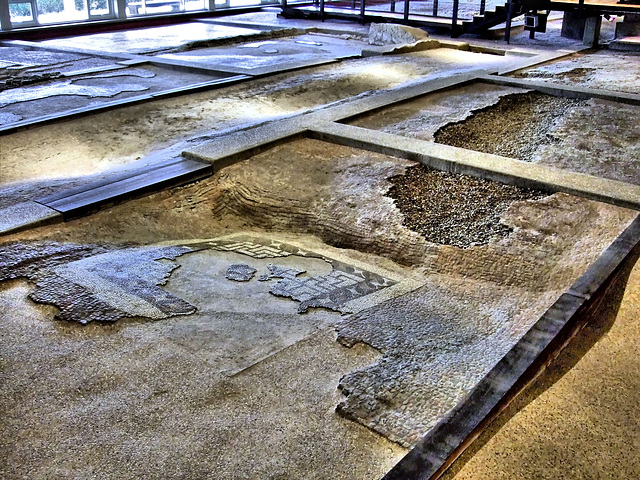 Mosaic flooring Fishbourne Roman Villa