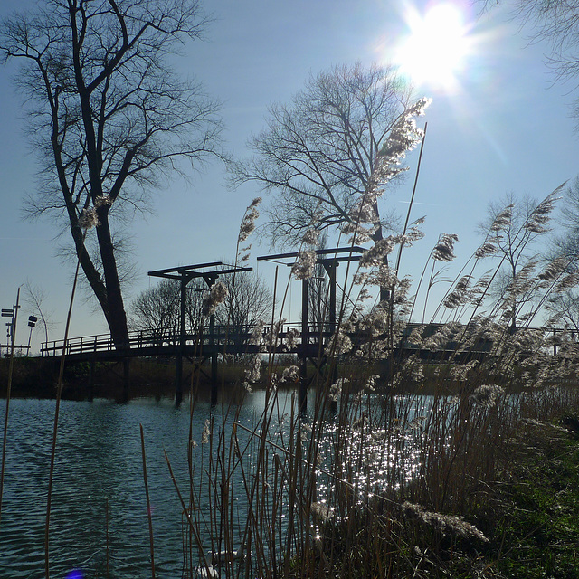 Nederland - Sluis, Parmabrug