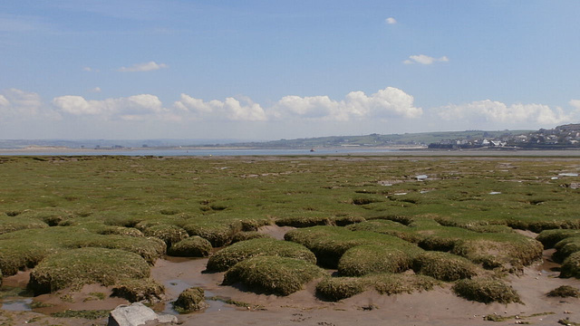 The mudflats from another angle