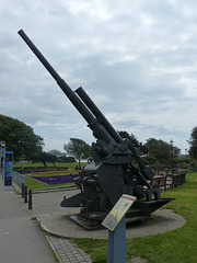 Anti-Aircraft Gun - 2 June 2014