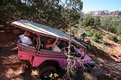 0501 154315 Pink Jeep in Coconino National Forest
