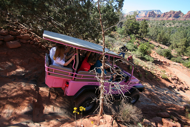 0501 154239 Pink Jeep in Coconino National Forest