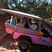 0501 154122 Pink Jeep in Coconino National Forest