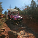 0501 153901 Pink Jeep in Coconino National Forest