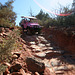 0501 153849 Pink Jeep in Coconino National Forest