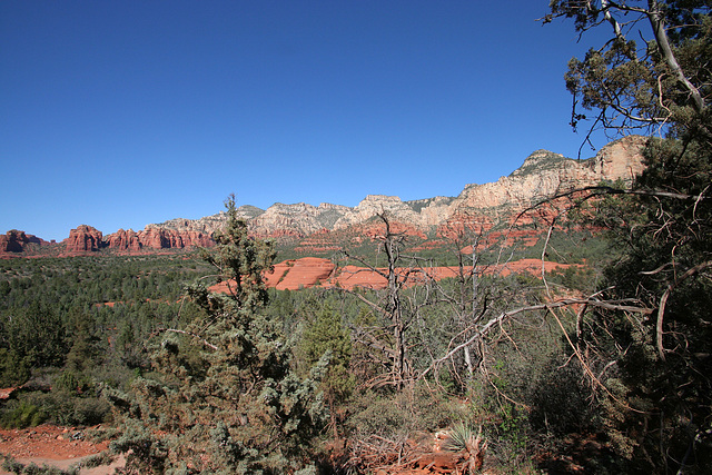 0501 153241 Coconino National Forest with Great Outdoors