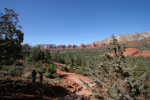 0501 153219 Coconino National Forest with Great Outdoors