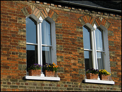 Cranham Street windows