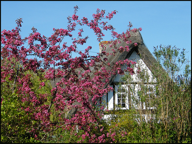 Horseshoe House in spring