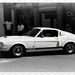 1967 GT 500 Shelby Mustang