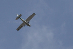 Flugzeug über dem Rosensteinpark