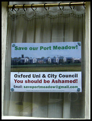 Save Port Meadow poster