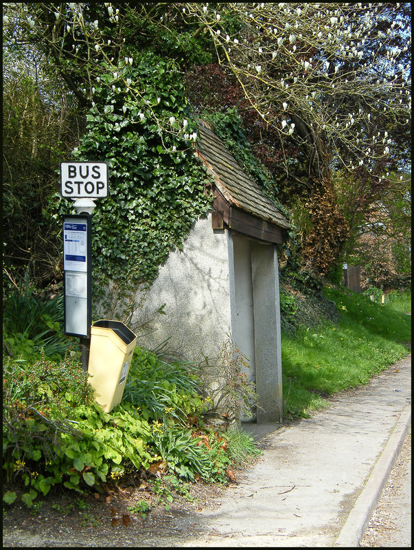 Chiselhampton bus stop