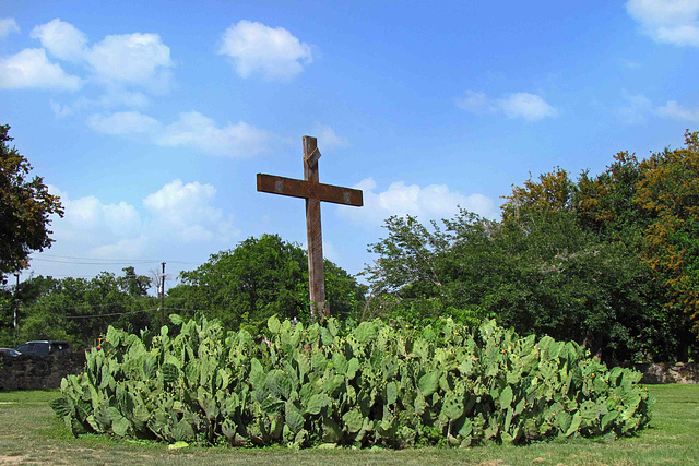 Cross with Opuntias
