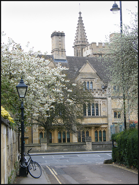 Oxford spring