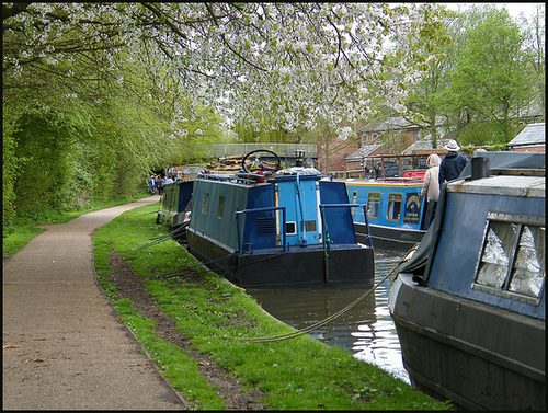 Jericho towpath in spring