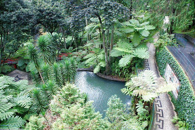 Madeira. Monte. Eingang in die tropischen asiatischen Gärten. ©UdoSm