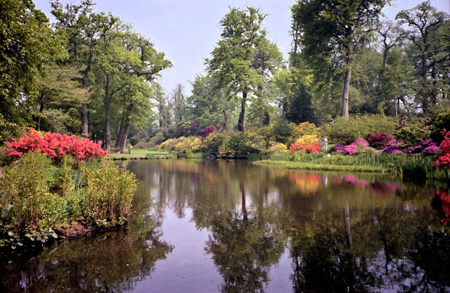 Savill Gardens 1988