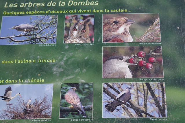 parc aux oiseaux Villars les Dombes
