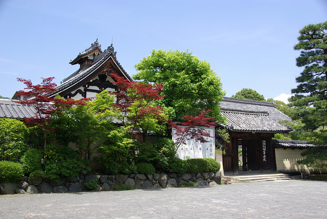 1677 - J10 - Kyoto - Tojiin temple - IMGP2589