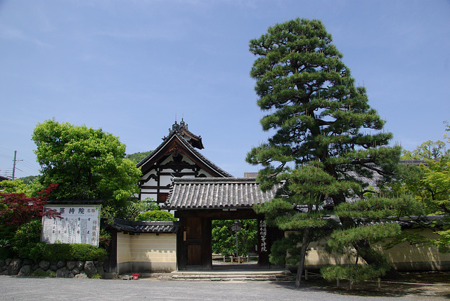 1678 - J10 - Kyoto - Tojiin temple - IMGP2591