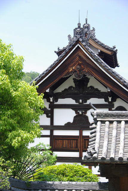 1679 - J10 - Kyoto - Tojiin temple - IMGP2592