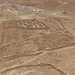 Masada (35) - 20 May 2014