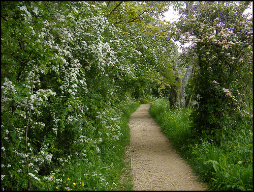 Thames Path in May