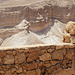 Masada (19) - 20 May 2014