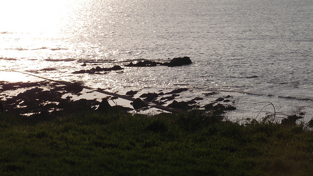 The rocks at low tide
