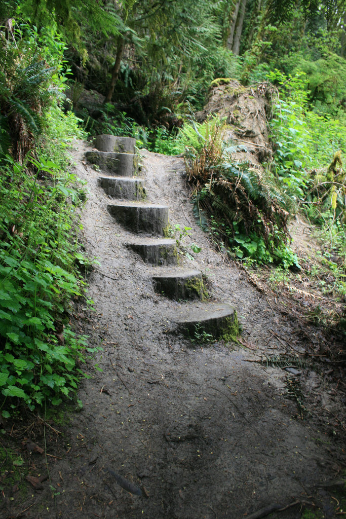 Steps on the trail