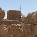 Masada (37) - 20 May 2014