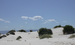 White Sands National Monument (3206)