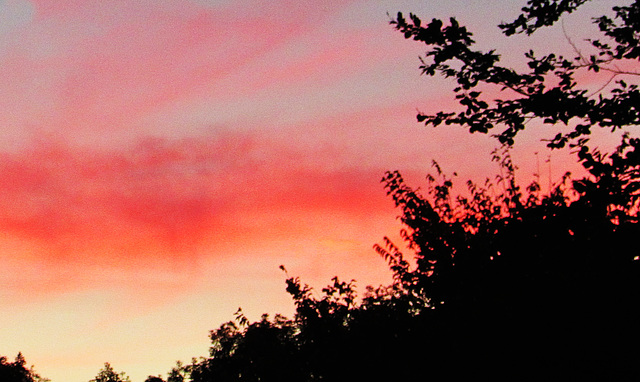 Silhouette on Sunset Sky