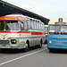 Dordt in Stoom 2014 – 1959 Volvo B65506 & 1954 Holland Coach 457/90/PC