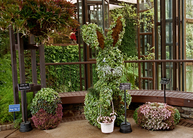 Topiary Easter Bunny and Eggs