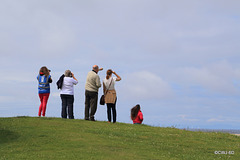 Dolphin spotters at Spey Bay, spotted by me.