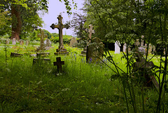 DSC 1277 1a All Saints graveyard