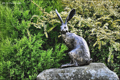 Howard The Hare