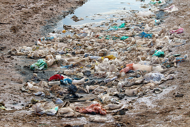 Pollution des salines sur l'île de Sal , triste réalité .