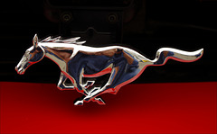 Mustang 00 20140525