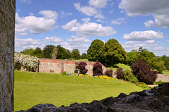 Looking out over Farnham Park from the Castle Keep