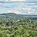 DSC 1496A view to Crooksbury Hill from Farnham Castle