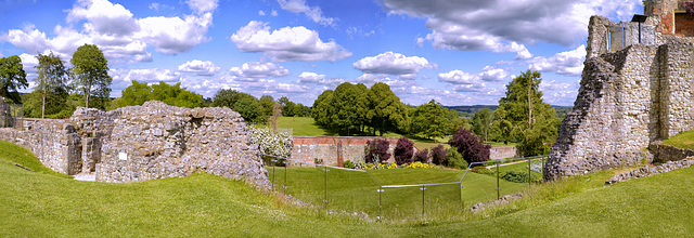 Farnham Park view from the Castle Keep