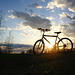 my bicycle/mon vélo