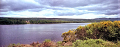 View East over Loch Ness to Aldourie Castle - panorama