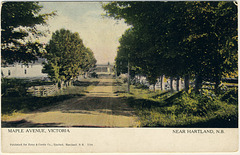 Maple Avenue, Victoria, near Hartland, N.B.