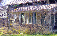 Old House on Dow
