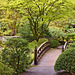 Crossing the Moon Bridge – Japanese Garden, Portland, Oregon
