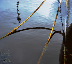 Reflected Ropes
